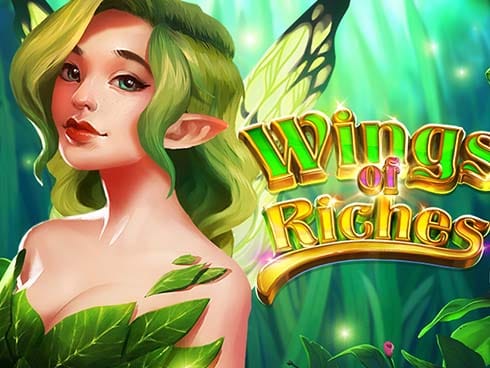 Wings of Riches screenshot